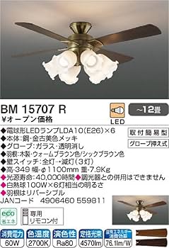 61+FPz5V+UL._UF350,350_QL80_.jpg